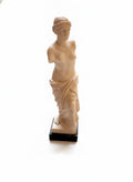G. Ruggeri Italian Marble Sculpture of Venus de Milo Replica on Black Base