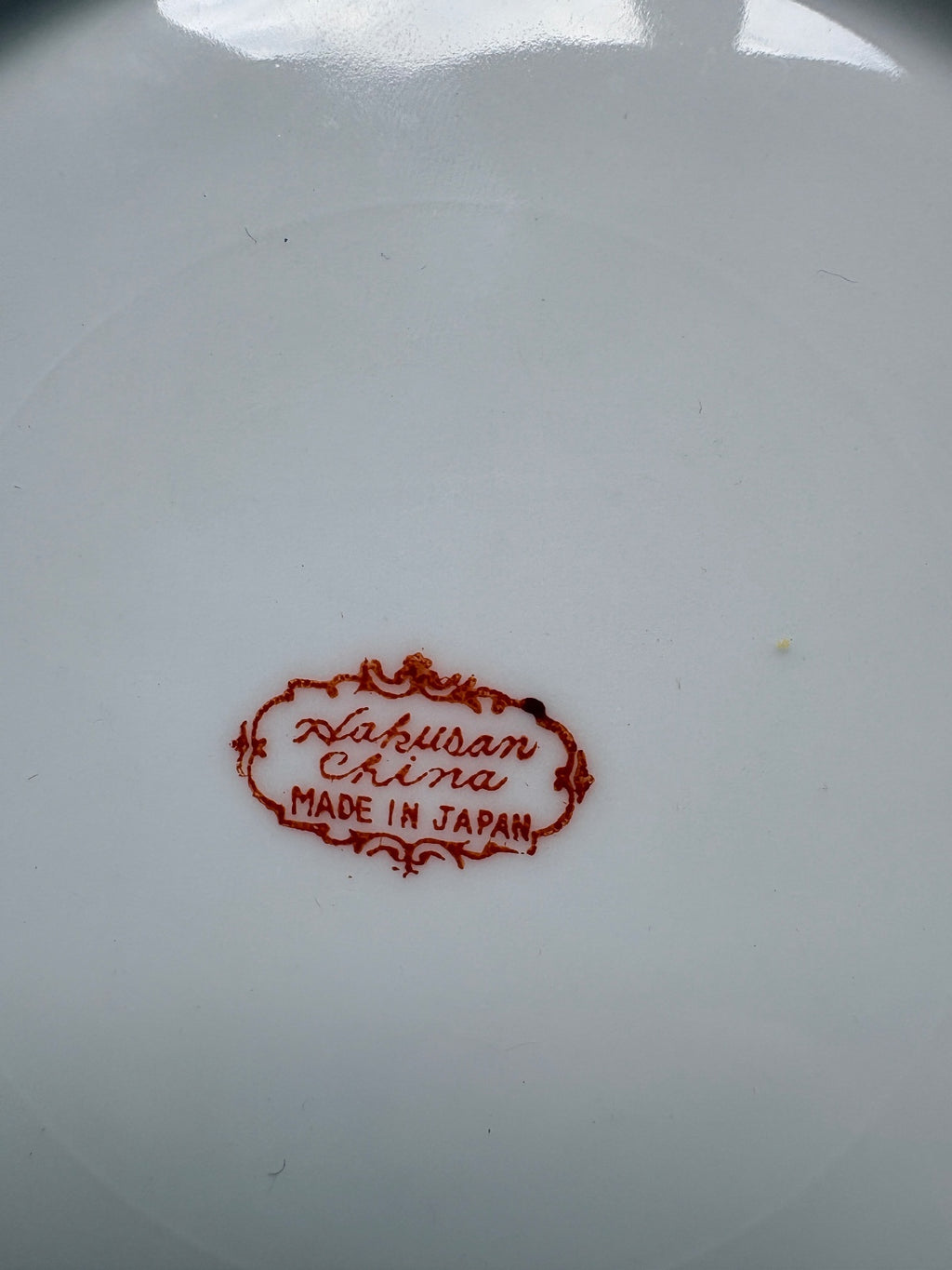 Hakusan China Bamboo Pattern Porcelain Dinner Plate Made in Japan