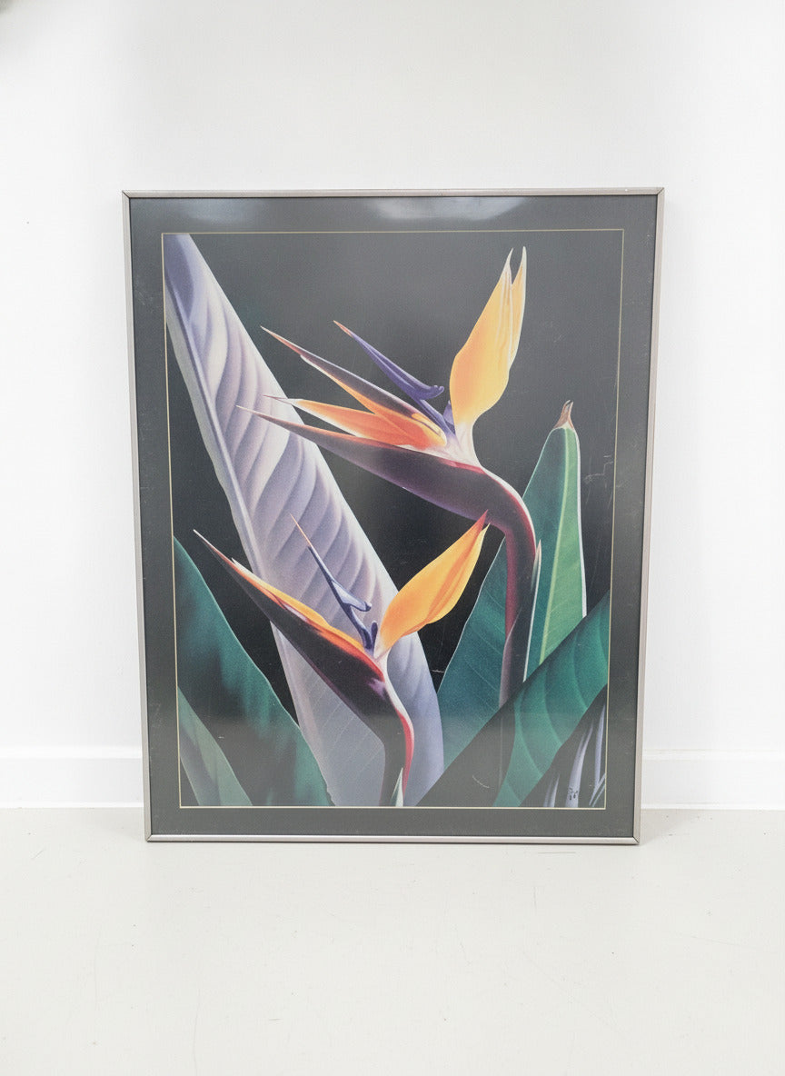 30x40 Birds of Paradise Flowers Wall Art Print