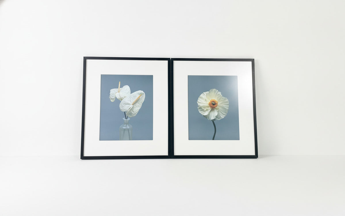 Pair of Vintage Floral Photographic Prints in Black Frames