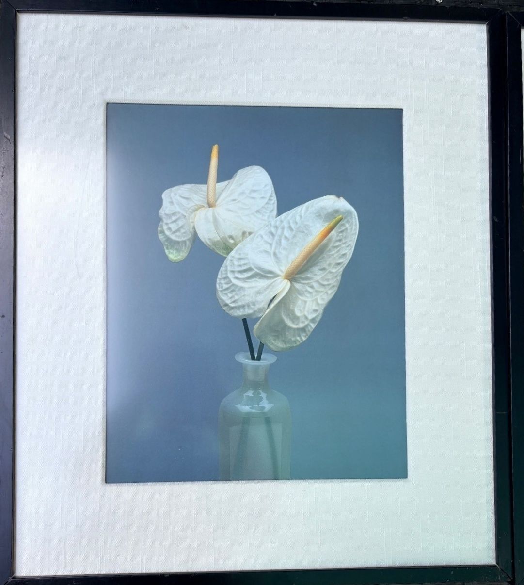 Pair of Vintage Floral Photographic Prints in Black Frames