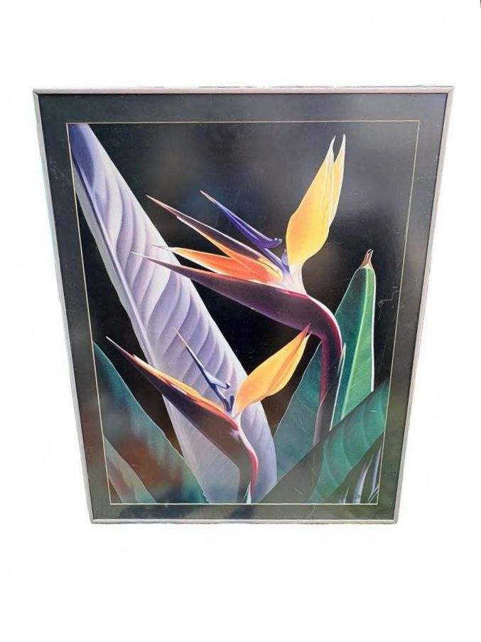 30x40 Birds of Paradise Flowers Wall Art Print